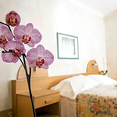 Hotel Centro