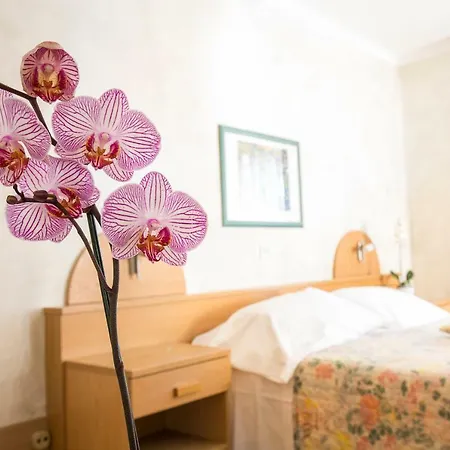Centro Szálloda 3*